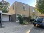 Aronskelk - Elsloo