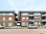 Beukenbos - Bladel