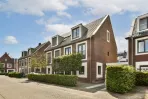 Boterbloem - Ouderkerk aan de Amstel