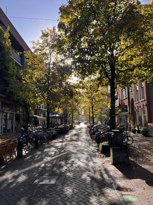 Eerste Sweelinckstraat - Amsterdam
