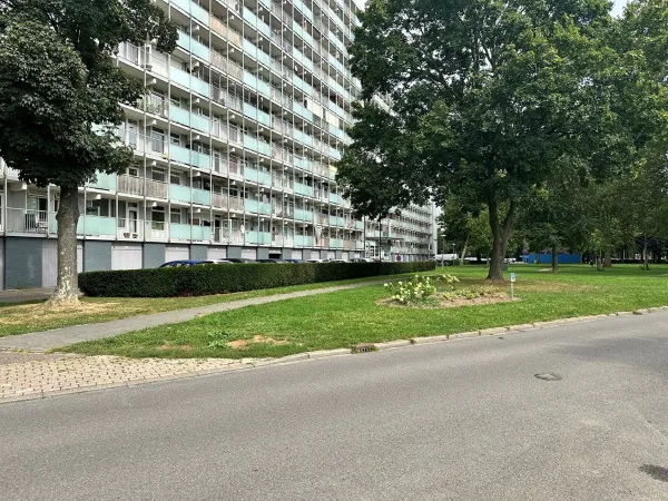 Eisenhowerstraat - Sittard