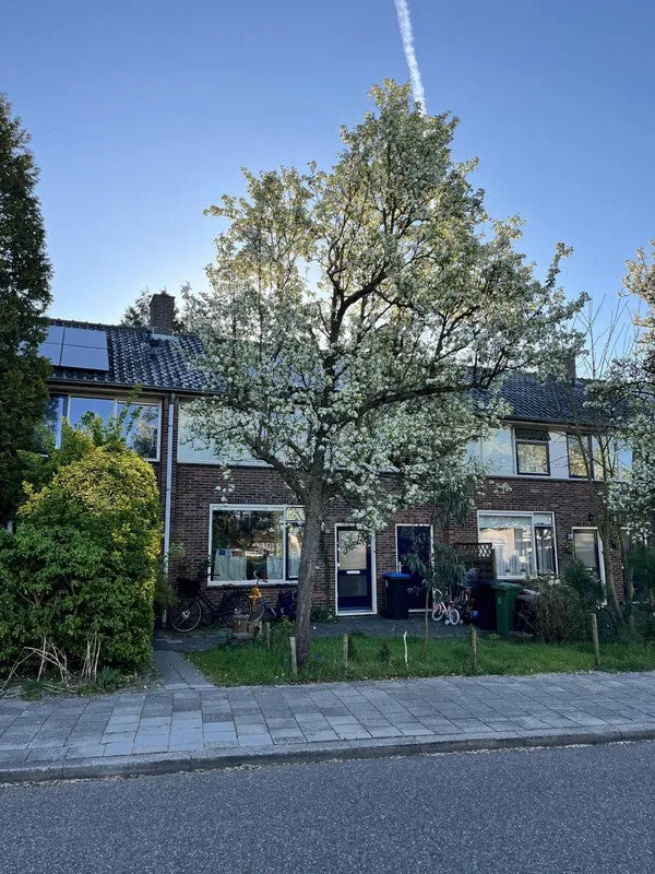 Fuutstraat - Landsmeer