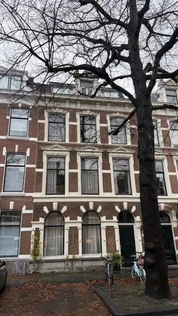 Jan van Nassaustraat - Den Haag