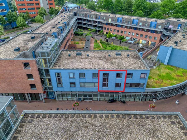 Linie - Apeldoorn