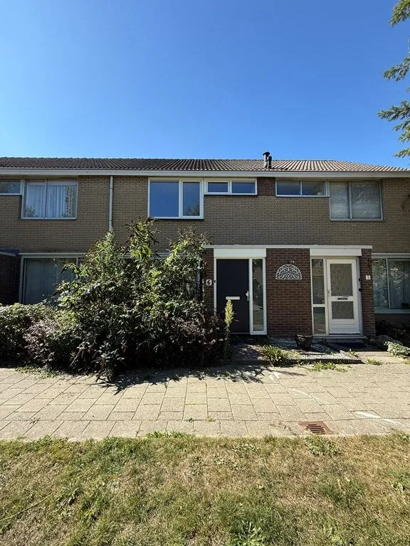 Lisgors - Mijnsheerenland