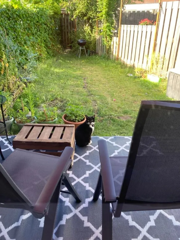 Louis Elsevierstraat - Leiden