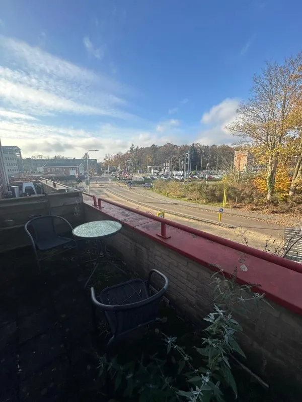 Narcisstraat - Assen