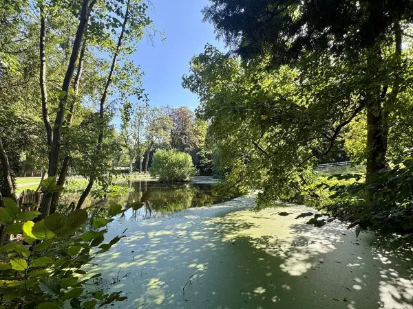 Rijksstraatweg - Ubbergen