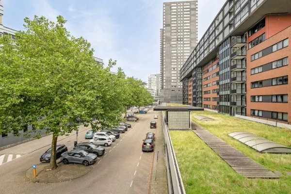 Scheepstimmermanslaan - Rotterdam