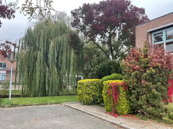 Warmelo - Huizen