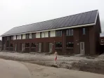 Zaaier - Dronten